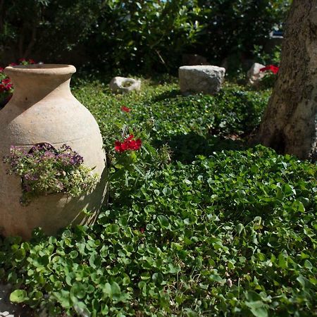 Grandi Trulli Bed & Breakfast Alberobello Bagian luar foto